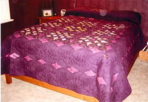 Elizabeth Oregon A Window Full of Stars