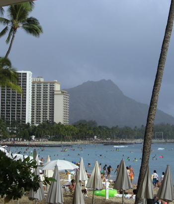 A K Waikiki 2