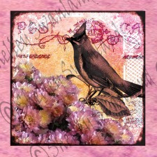 Flowers with Vintage Bird and Post Card Images